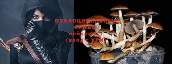 бошки Горно-Алтайск