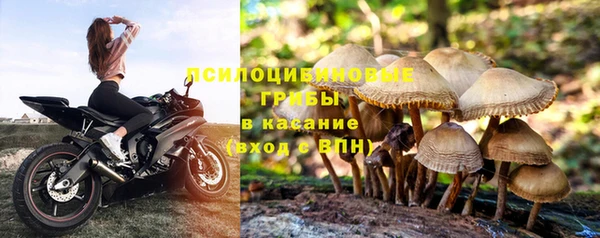 мет Верея