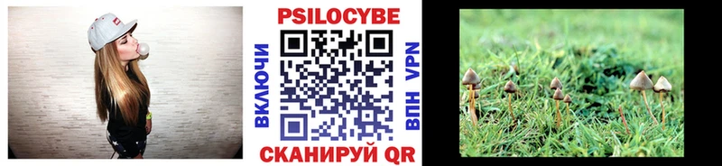 Псилоцибиновые грибы прущие грибы  Заозёрск 