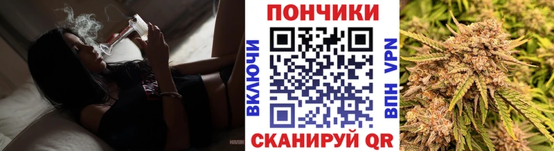 где купить наркотик  Заозёрск  Шишки марихуана THC 21% 